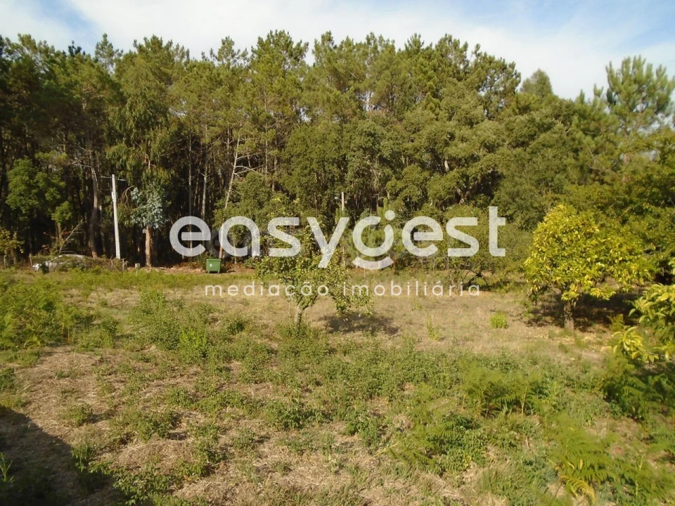Terreno para Venda em Pataias e Martingança Foto 3