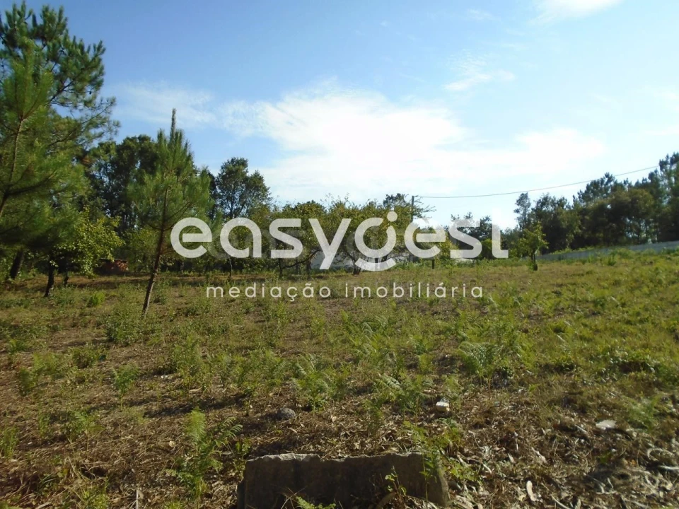 Terreno para Venda em Pataias e Martingança Foto 10