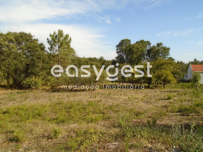 Terreno para Venda em Pataias e Martingança Foto 1