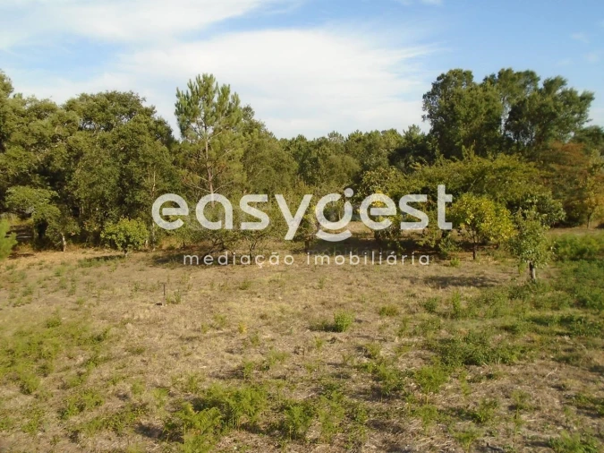 Terreno para Venda em Pataias e Martingança Foto 2