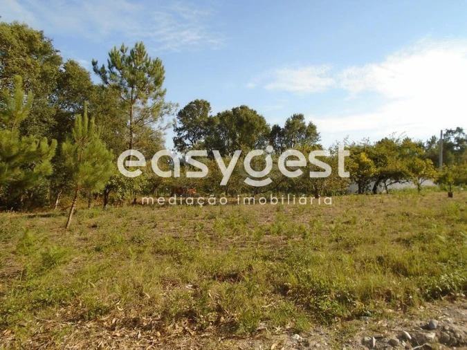 Terreno para Venda em Pataias e Martingança Foto 8
