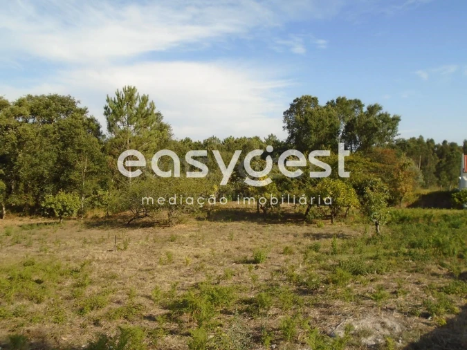 Terreno para Venda em Pataias e Martingança Foto 12