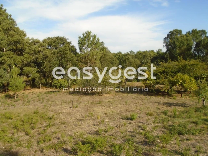 Terreno para Venda em Pataias e Martingança Foto 16