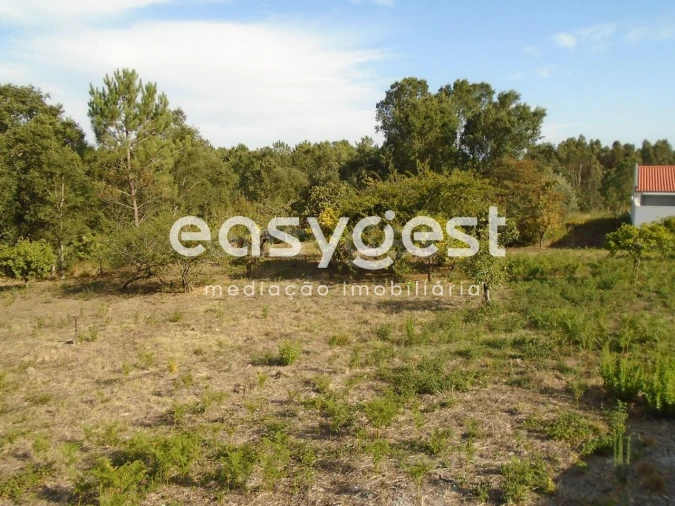 Terreno para Venda em Pataias e Martingança Foto 18