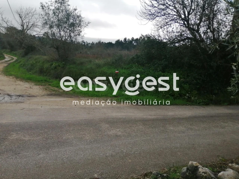 Terreno para Venda em Condeixa-A-Velha e Condeixa-A-Nova Foto 4