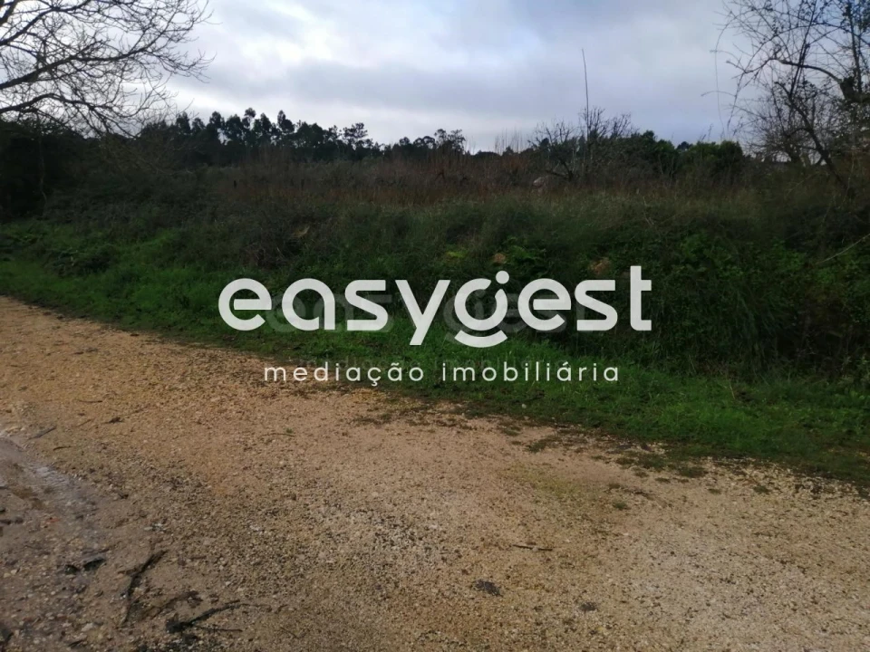 Terreno para Venda em Condeixa-A-Velha e Condeixa-A-Nova Foto 6