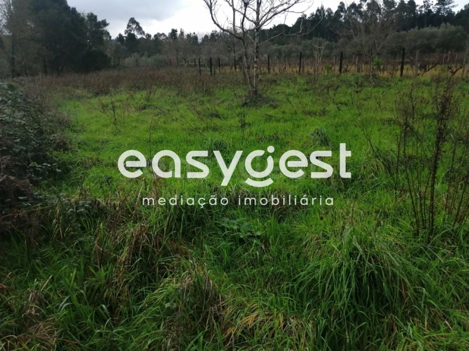 Terreno para Venda em Condeixa-A-Velha e Condeixa-A-Nova Foto 8