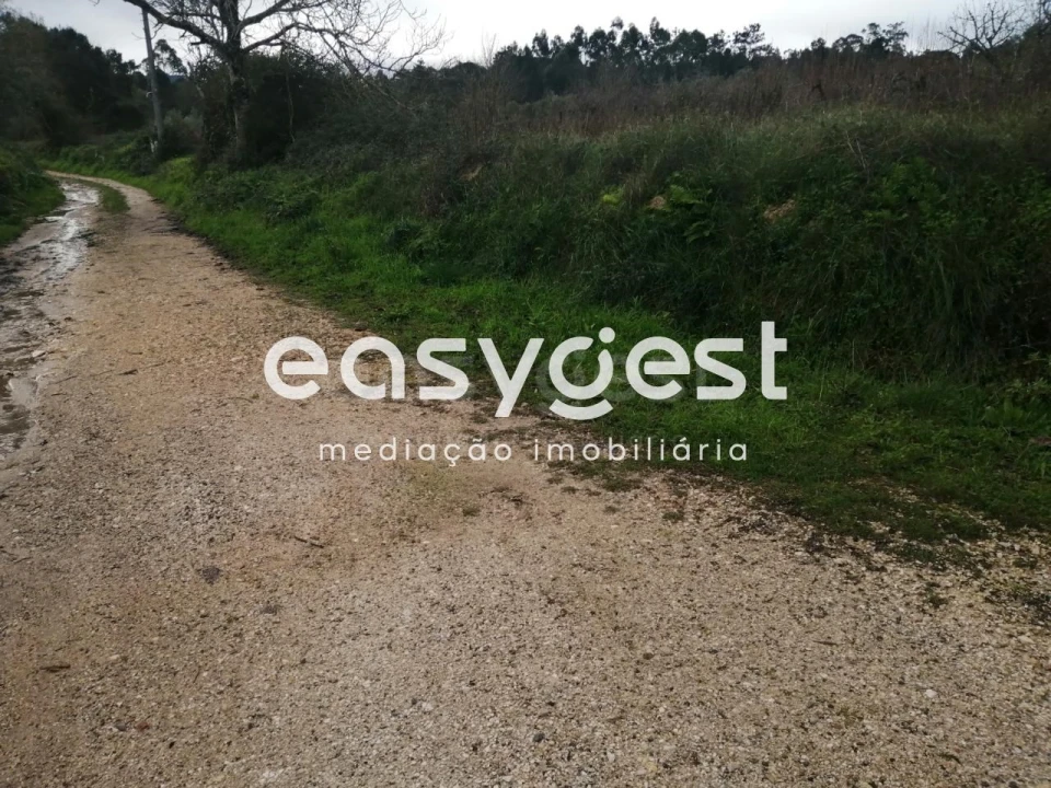 Terreno para Venda em Condeixa-A-Velha e Condeixa-A-Nova Foto 12