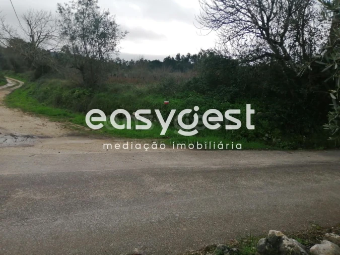 Terreno para Venda em Condeixa-A-Velha e Condeixa-A-Nova Foto 4