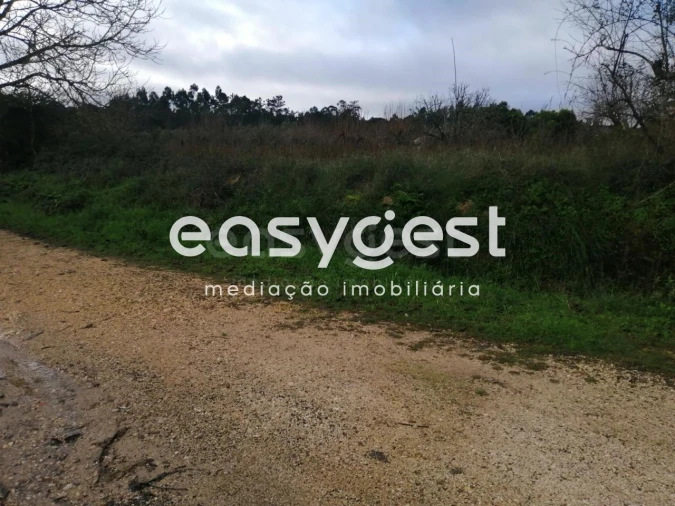 Terreno para Venda em Condeixa-A-Velha e Condeixa-A-Nova Foto 6