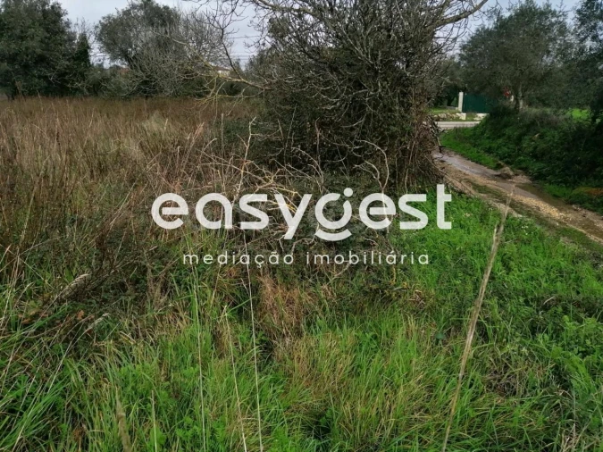 Terreno para Venda em Condeixa-A-Velha e Condeixa-A-Nova Foto 7