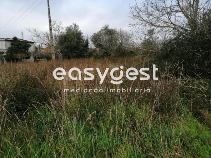 Terreno para Venda em Condeixa-A-Velha e Condeixa-A-Nova Foto 9