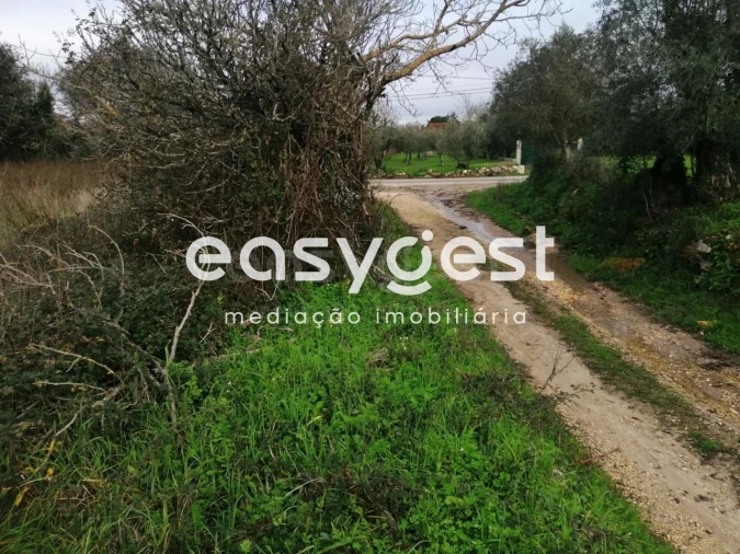 Terreno para Venda em Condeixa-A-Velha e Condeixa-A-Nova Foto 10