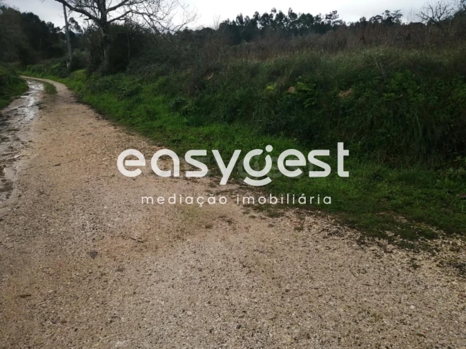 Terreno para Venda em Condeixa-A-Velha e Condeixa-A-Nova Foto 12