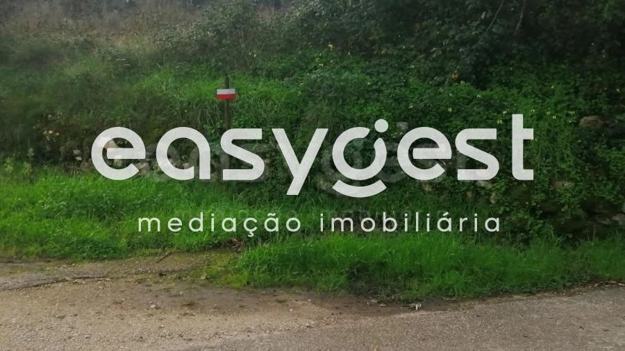 Terreno para Venda em Condeixa-A-Velha e Condeixa-A-Nova