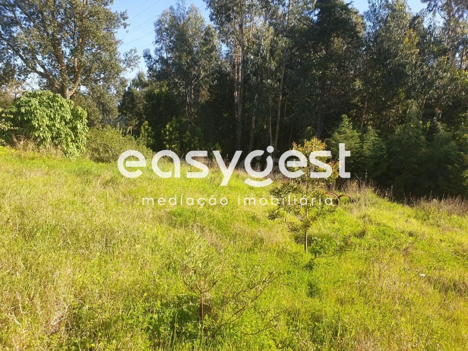 Terreno para Venda em São Martinho do Bispo e Ribeira de Frades Foto 3