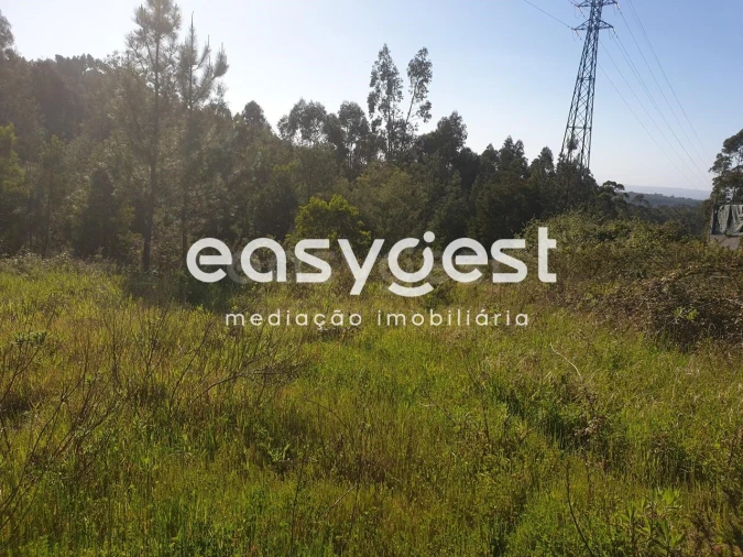 Terreno para Venda em São Martinho do Bispo e Ribeira de Frades Foto 2