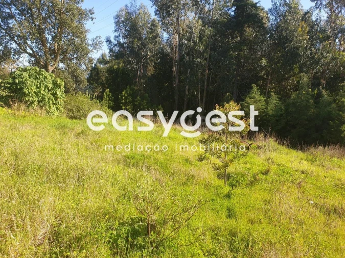 Terreno para Venda em São Martinho do Bispo e Ribeira de Frades Foto 3