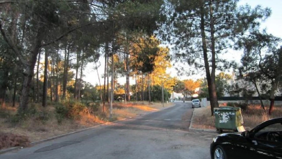 Terreno para Venda em Azeitão (São Lourenço e São Simão) Foto 3