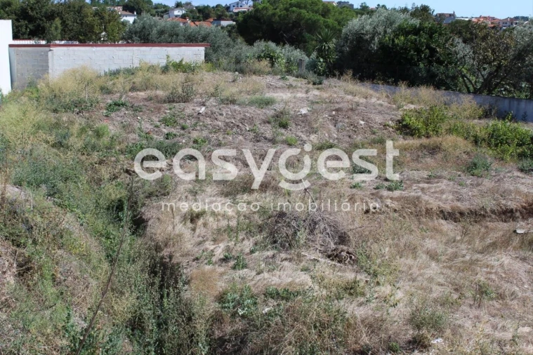 Terreno para Venda em São Cipriano e Vil de Souto Foto 2