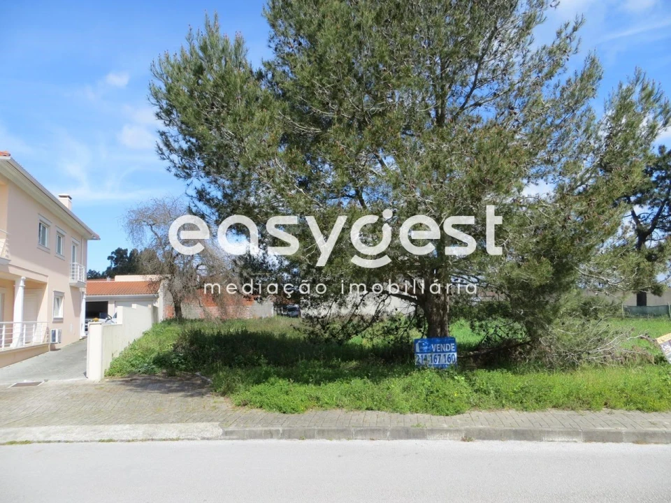 Terreno para Venda em Marinha Grande Foto 3