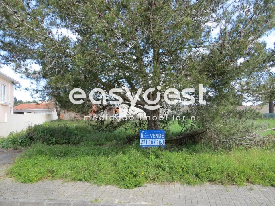 Terreno para Venda em Marinha Grande Foto 5