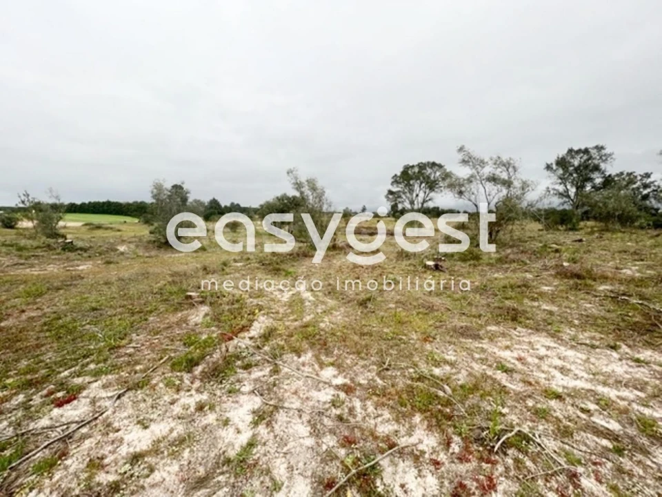 Terreno para Venda em Poceirão e Marateca Foto 2