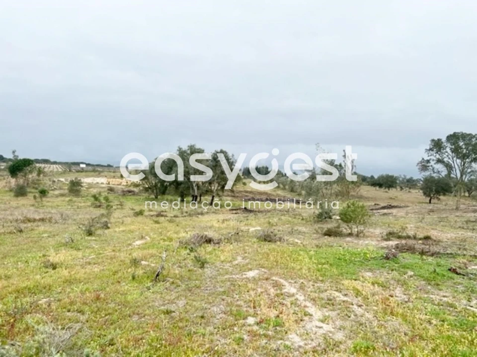 Terreno para Venda em Poceirão e Marateca Foto 5