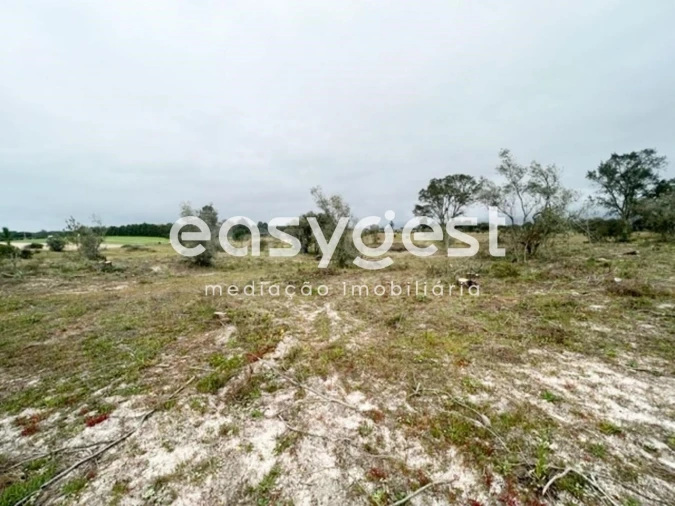 Terreno para Venda em Poceirão e Marateca Foto 3