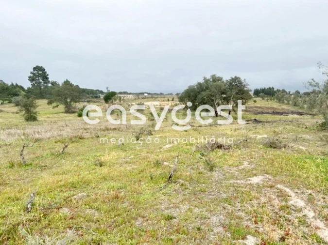 Terreno para Venda em Poceirão e Marateca Foto 4