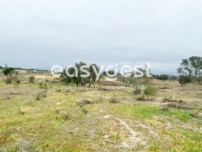 Terreno para Venda em Poceirão e Marateca Foto 5