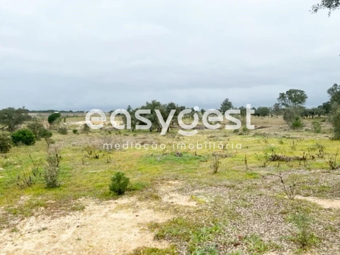 Terreno para Venda em Poceirão e Marateca Foto 6