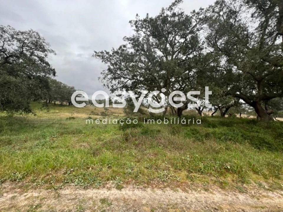 Terreno para Venda em Poceirão e Marateca Foto 1