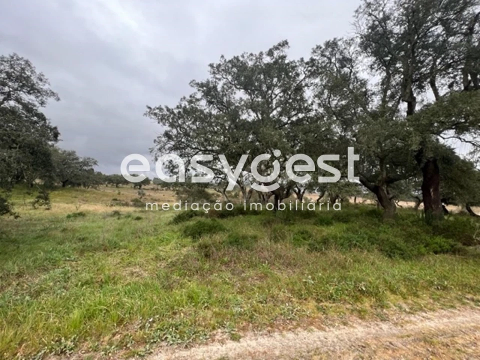 Terreno para Venda em Poceirão e Marateca Foto 3