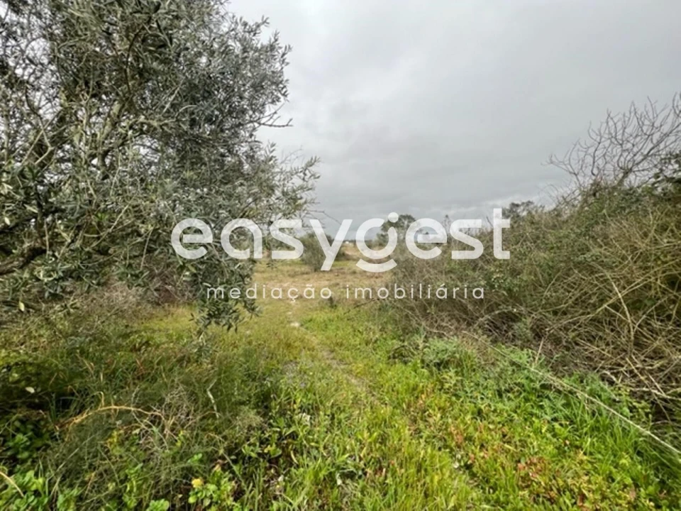 Terreno para Venda em Poceirão e Marateca Foto 4