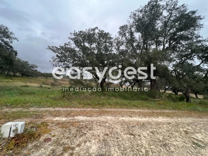 Terreno para Venda em Poceirão e Marateca Foto 2