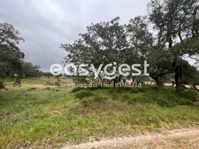 Terreno para Venda em Poceirão e Marateca Foto 3