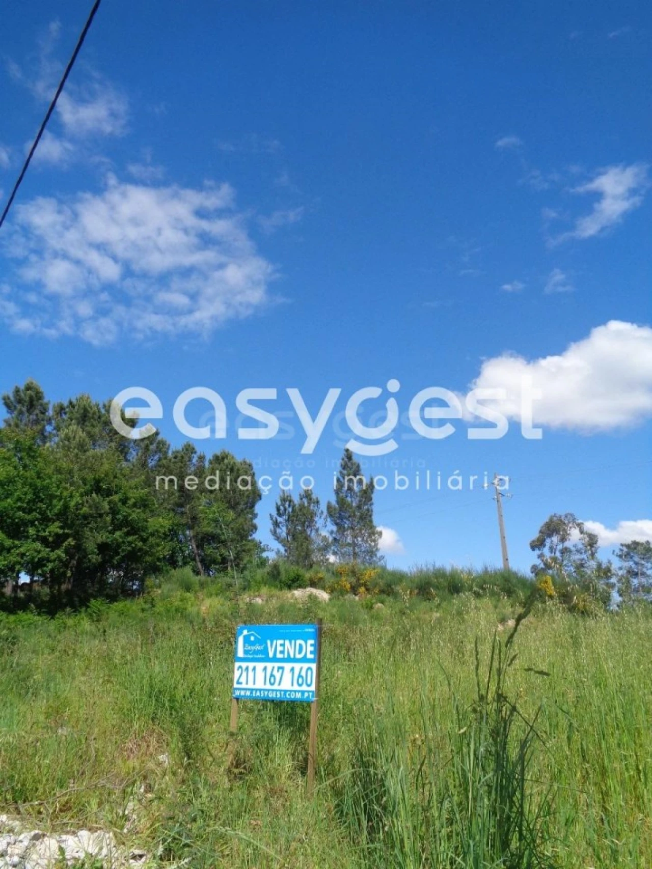 Terreno para Venda em Mundão Foto 3