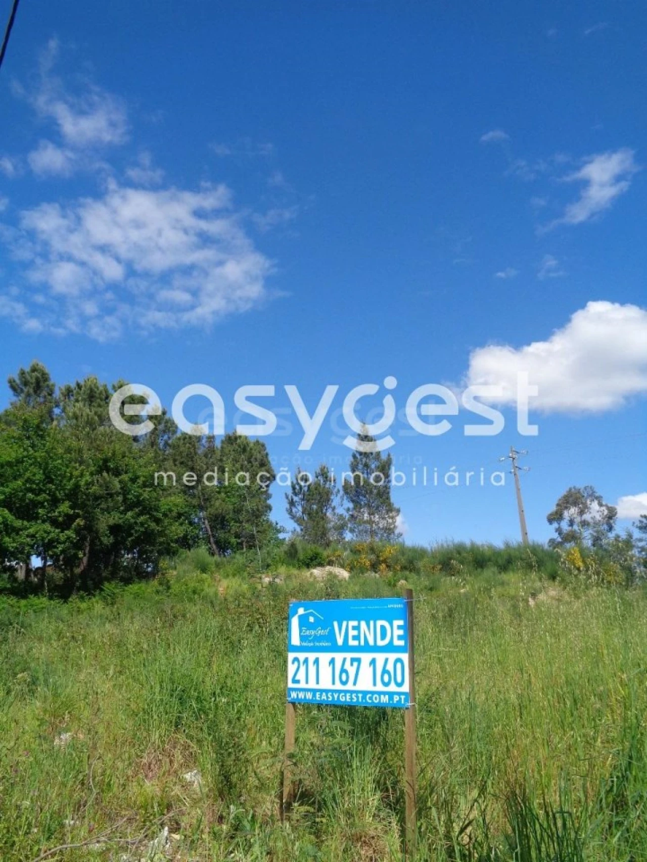Terreno para Venda em Mundão Foto 4