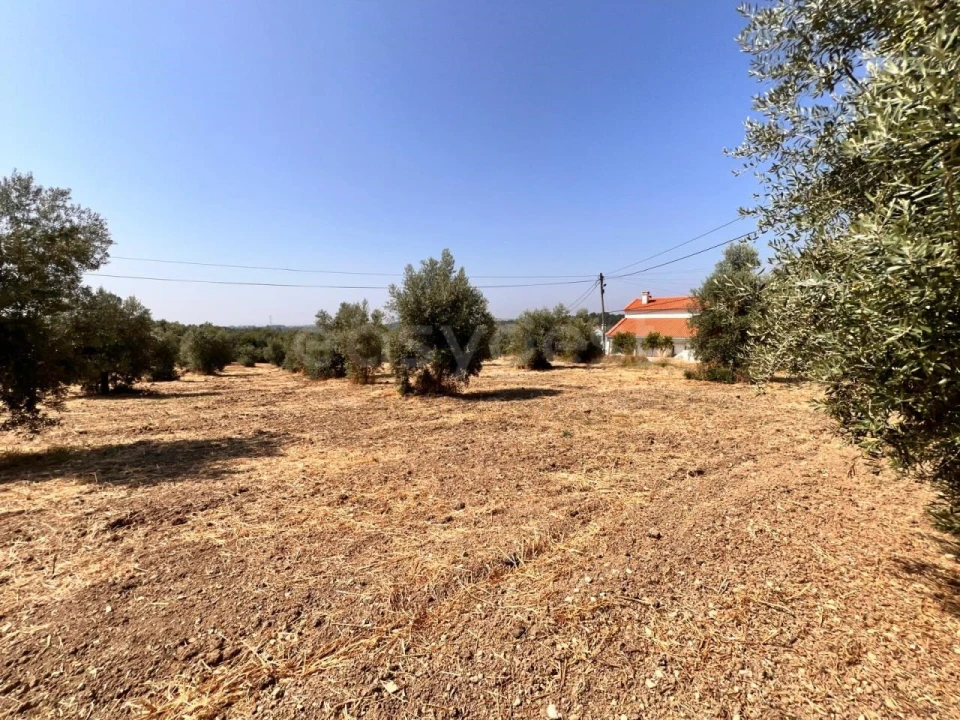Terreno para Venda em Olaia e Paço Foto 4