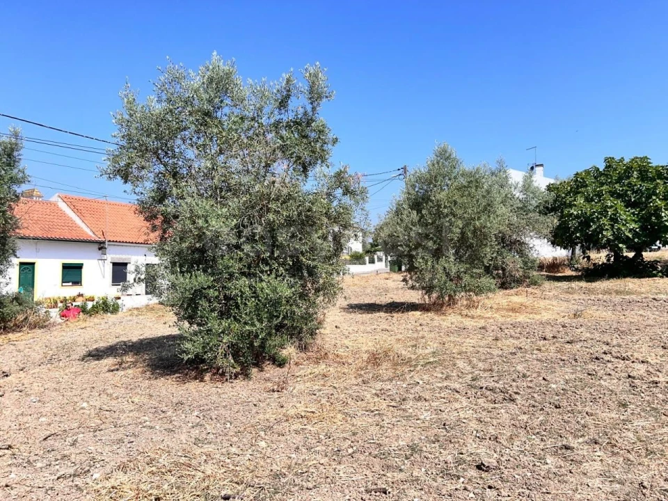 Terreno para Venda em Olaia e Paço Foto 6