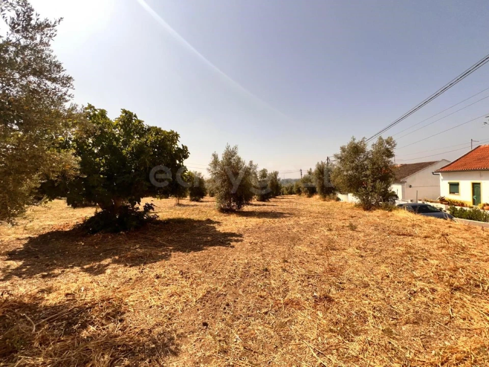 Terreno para Venda em Olaia e Paço Foto 9