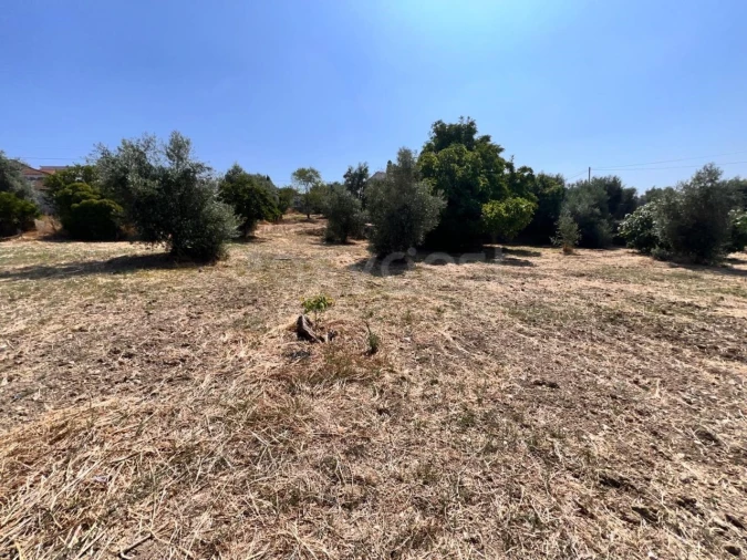 Terreno para Venda em Olaia e Paço Foto 1