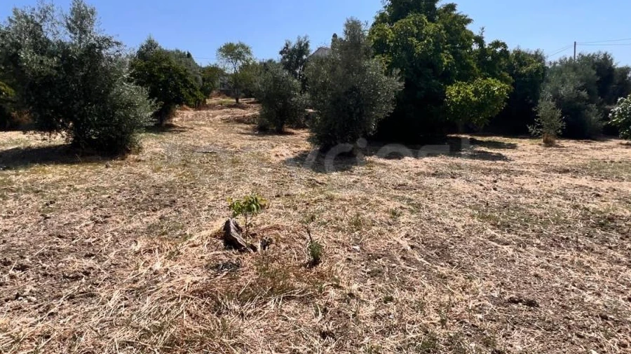 Terreno para Venda em Olaia e Paço