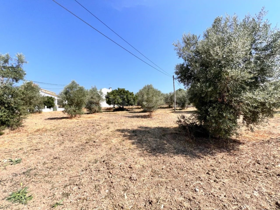 Terreno para Venda em Olaia e Paço Foto 1