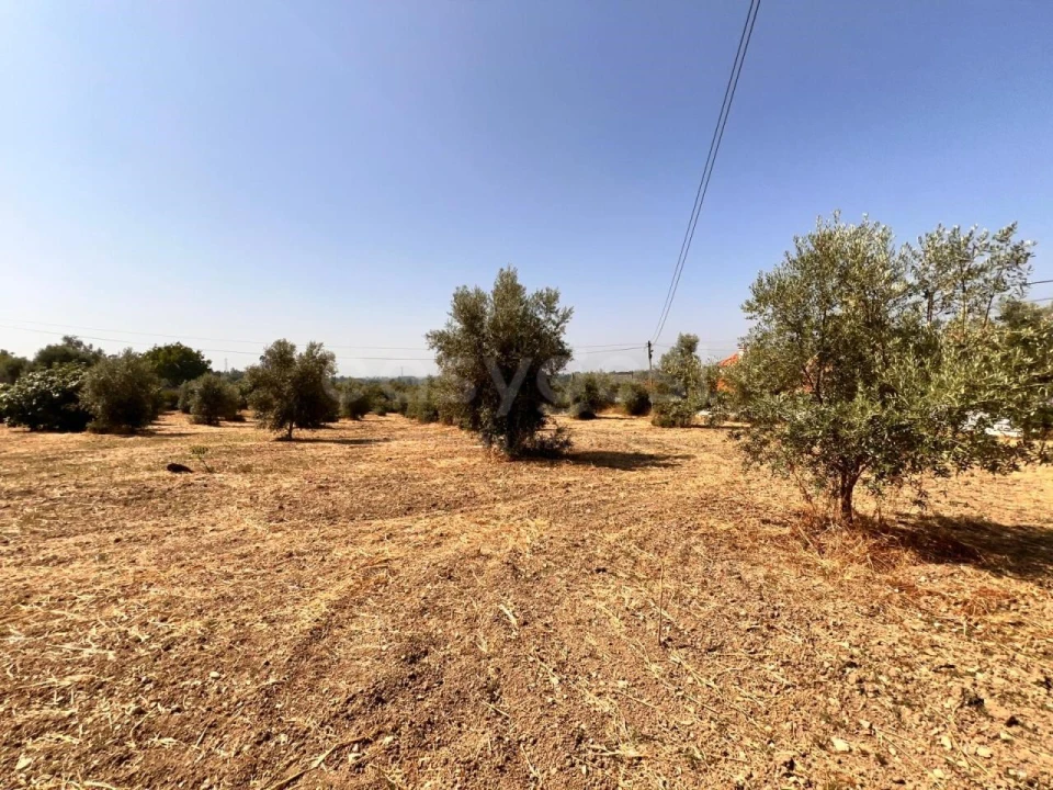 Terreno para Venda em Olaia e Paço Foto 9