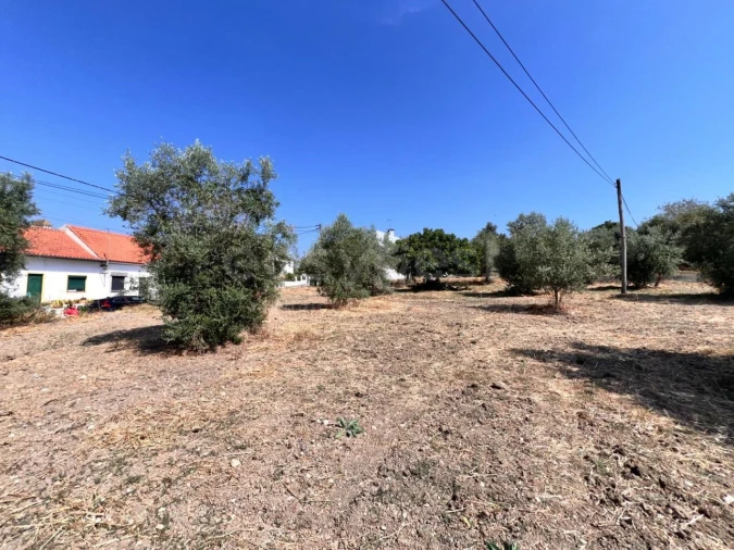 Terreno para Venda em Olaia e Paço Foto 2