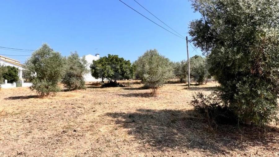 Terreno para Venda em Olaia e Paço