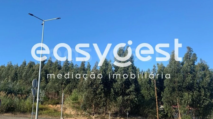 Terreno para Venda em Gaeiras