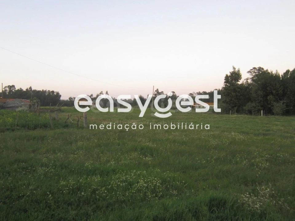 Terreno para Venda em Arazede Foto 4